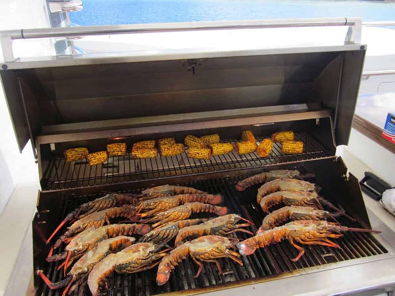 Professional Catering for a BBQ