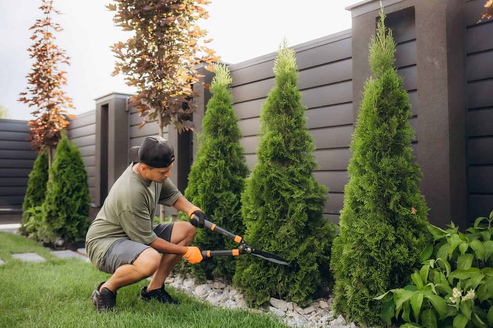 A young man is cutting pruning trees with a garden pruner in the backyard.