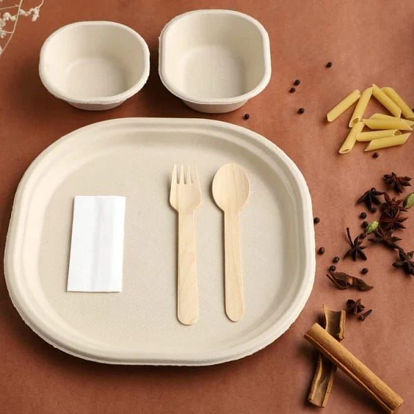 Disposable - Large Sugarcane Plate with Bio Cutlery and Napkin Pack